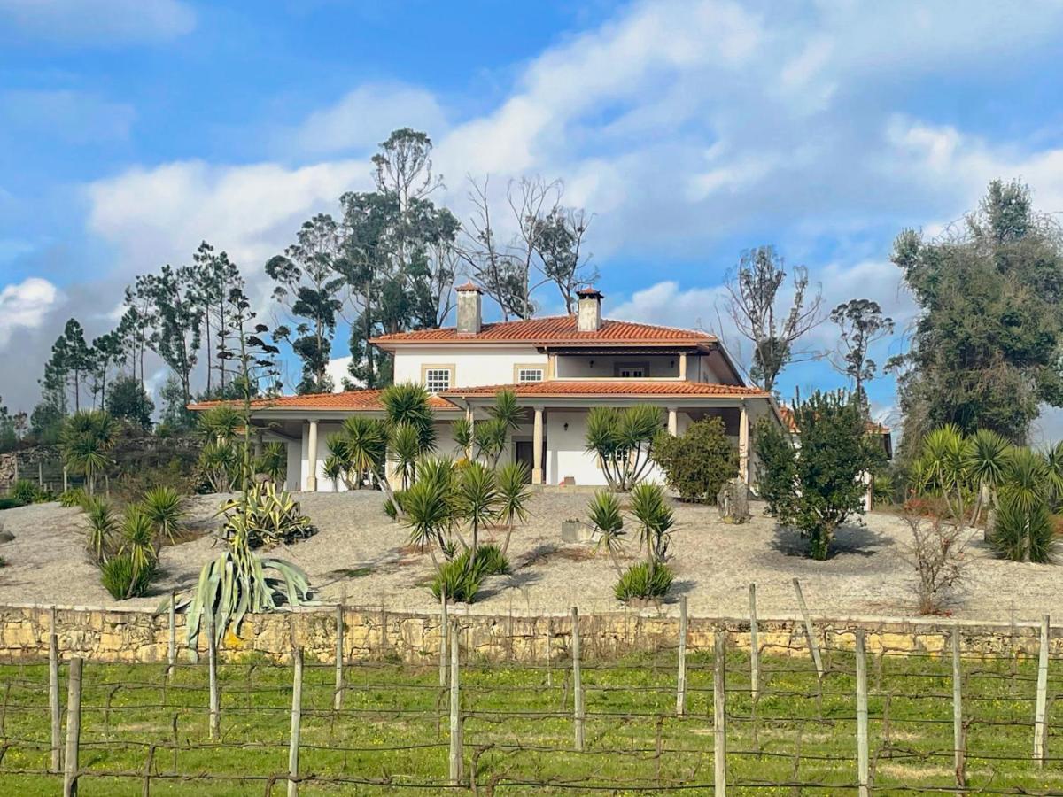 Quinta Da Paixao - Bed & Breakfast Pedraca Exteriér fotografie